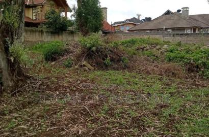1/2 Acre Hillside With Perimeter Wall .