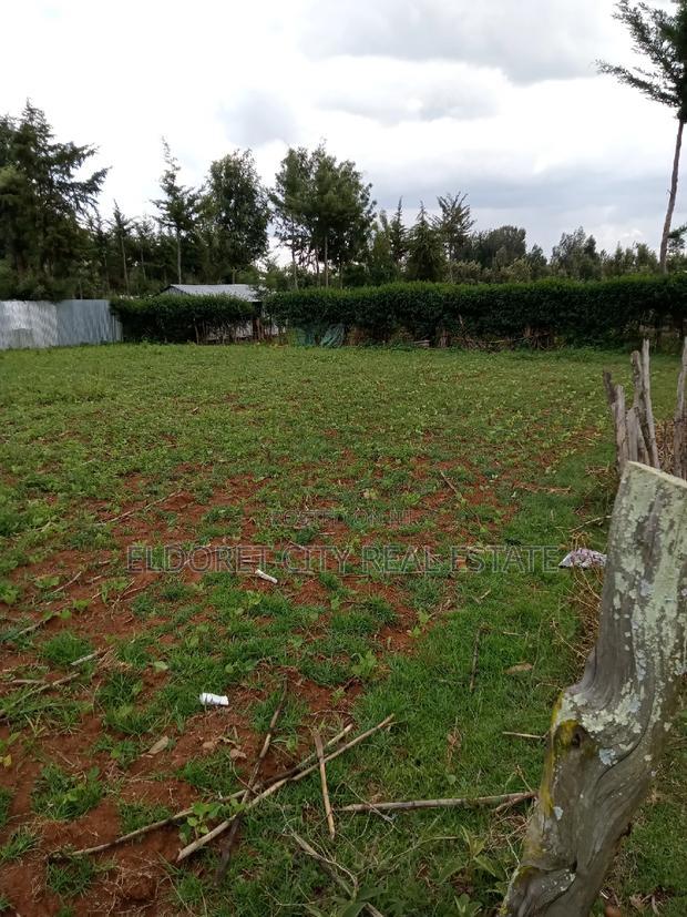 1/4 Plot Ilula Less Than 100metres From Tarmac