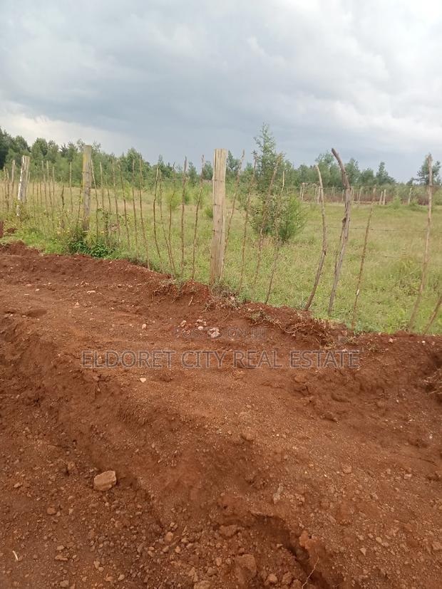 1/8 Plots Racecourse Touching Tarmac