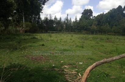 1/4 Plot Annex Pazuri With Title