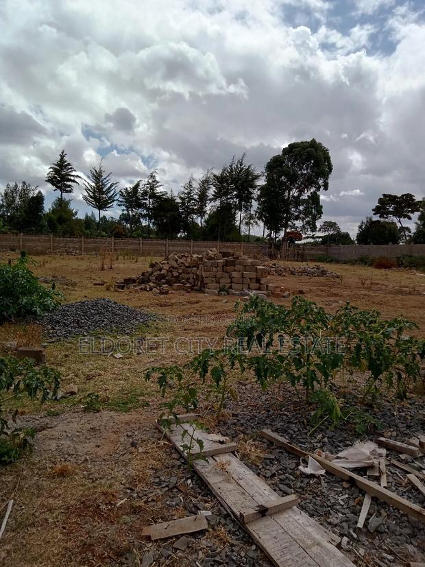 1/2 Acre Elgonview