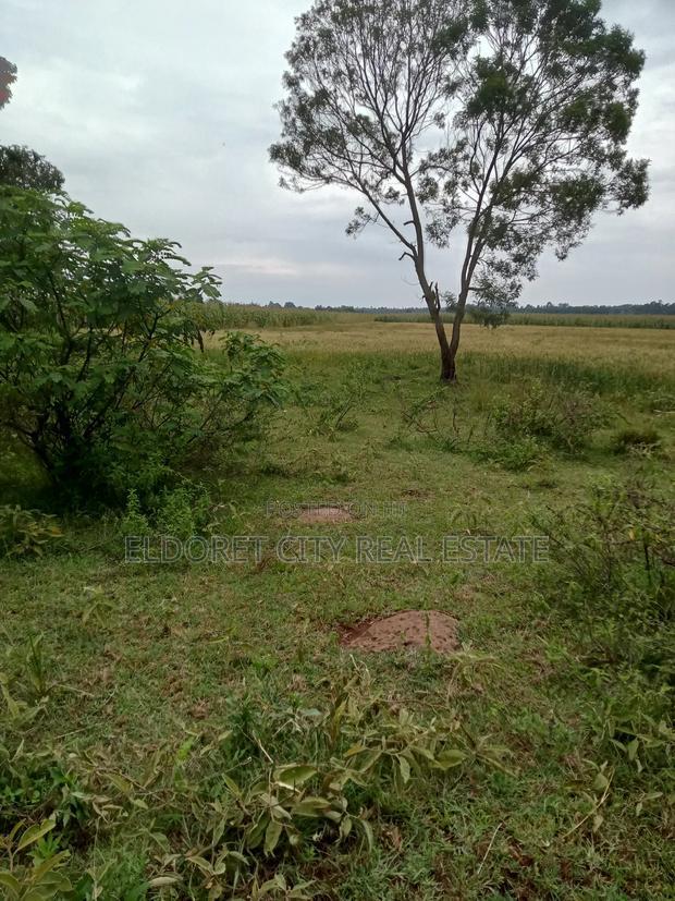 2 Acres Chepkanga 5km Inside With Title
