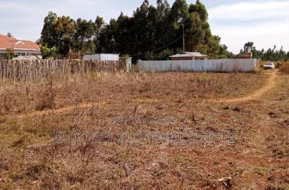 1/4 Plot Outspan After Annex