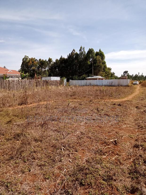 1/4 Plot Outspan After Annex