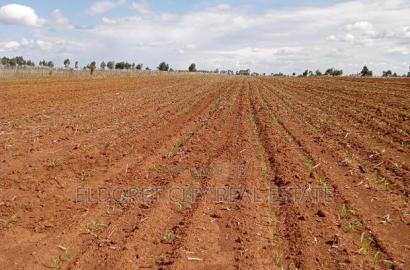 7 Acres With Title Merewet.