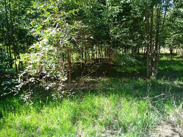 1/4 Annex Near Pazuri Estate With Title