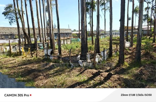 1/2 Acre Kimumu With Title Ideal for Commercial Purpose