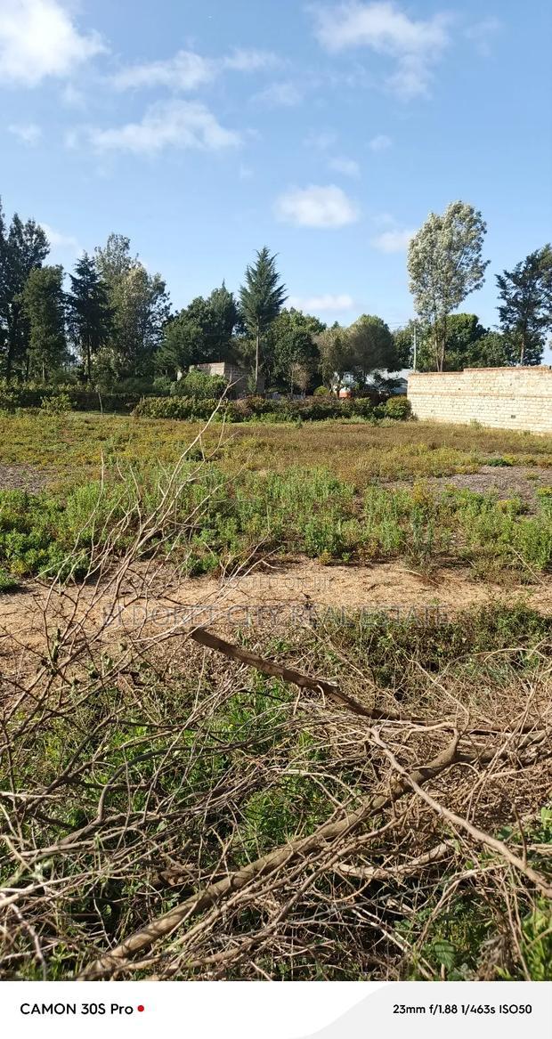 1/4 Plot Kimumu/Better Farm With Title