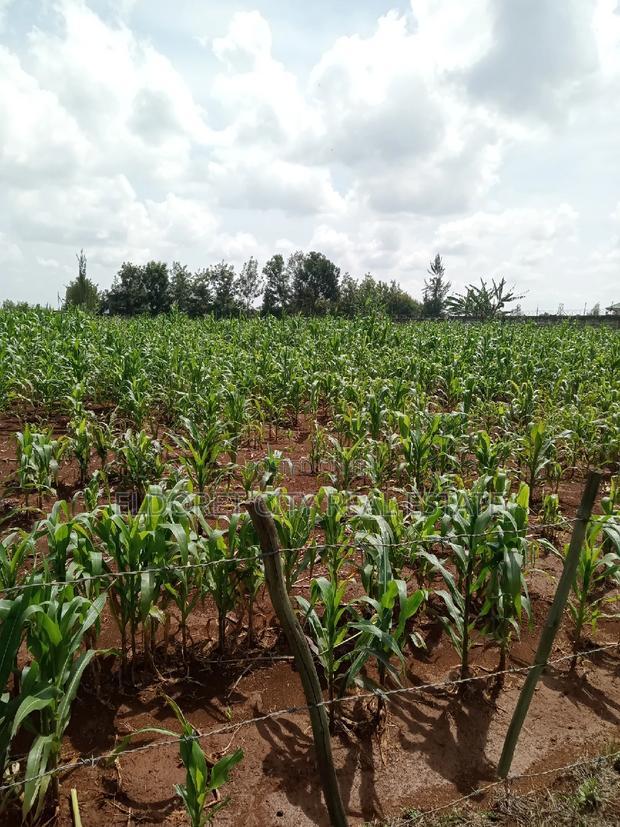 One Acre Elgonview Upper With Title
