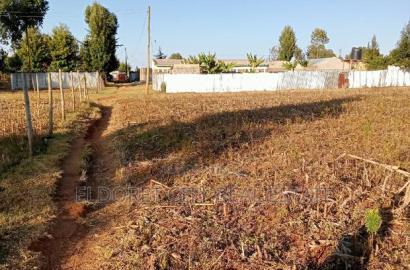 1/4 Plots Sinai Kimumu With Title