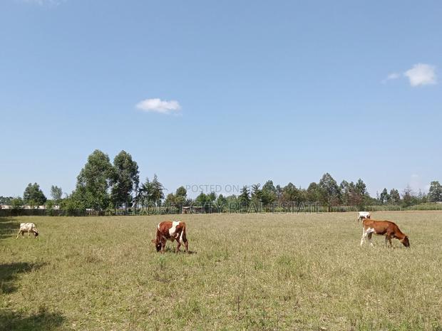 10 Acres Naiberi With Title Around 1.5km From Tarmac