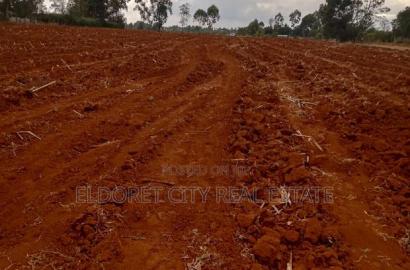 5 Acres Merewet With Title Less Than 1.5km From Tarmac