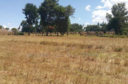 1/4 Plots Ilula Less Than 1km From Tarmac