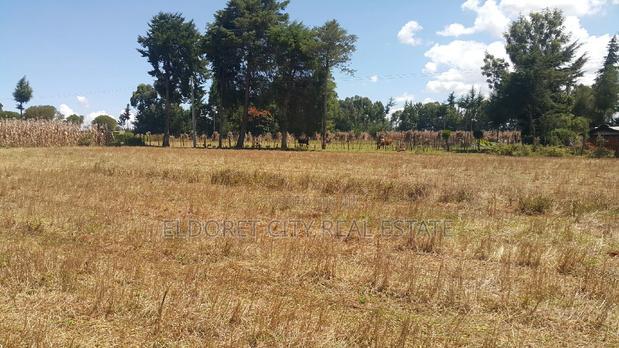 1/4 Plots Ilula Less Than 1km From Tarmac