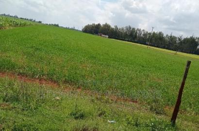 1/2 Acre Marura Less Than 500metres From Tarmac