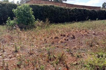 1/4 Plot Kimumu/Betterfarm With Title