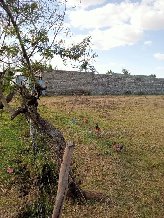 1/4 Plot Kimumu for Sale With Title