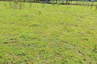 1/4 Plot Inder Ideal for Residential