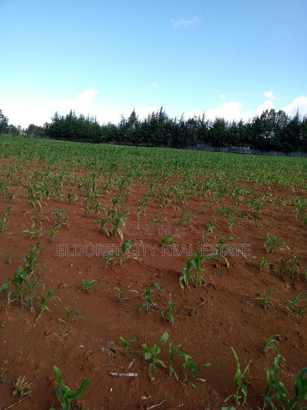4 Acres Cheplasgei With Title