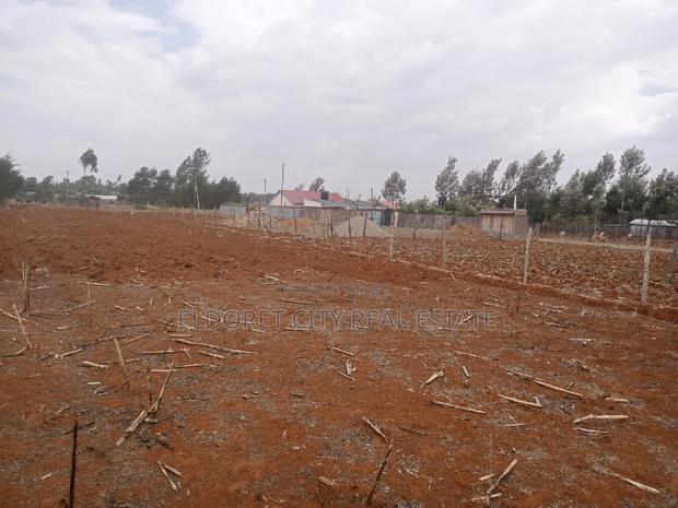 1/4 Plots Kuinet Ideal for Residential