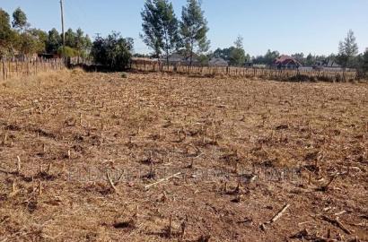 1/8 Plots Ilula Ideal for Residential
