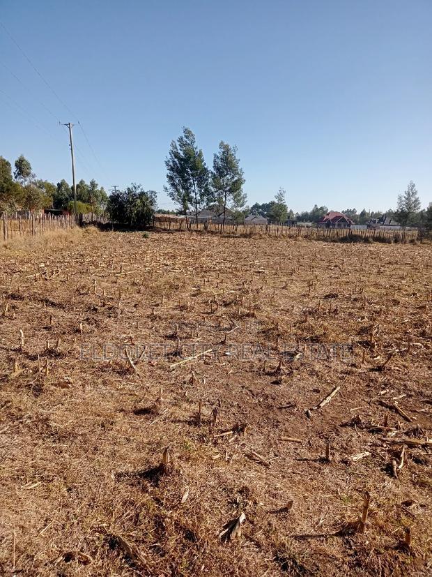 1/8 Plots Ilula Ideal for Residential