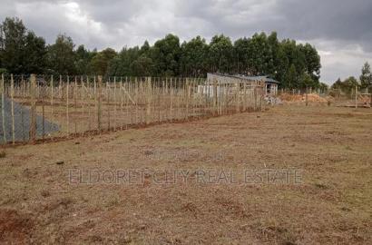 1/8 Plots Kapseret With Titles