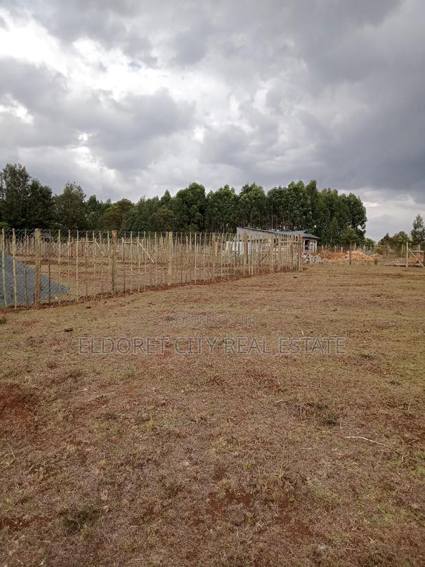 1/8 Plots Kapseret With Titles