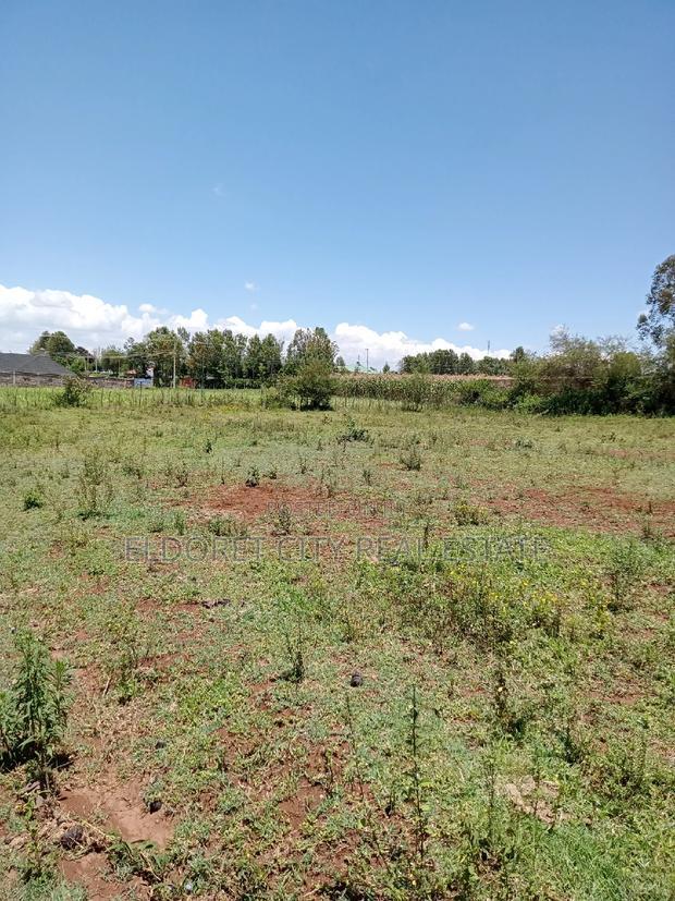 1/4 Plot Hillside Good for Residential