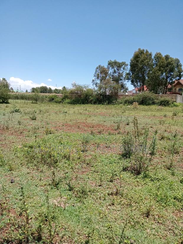 1/4 Plot Hillside Good for Residential