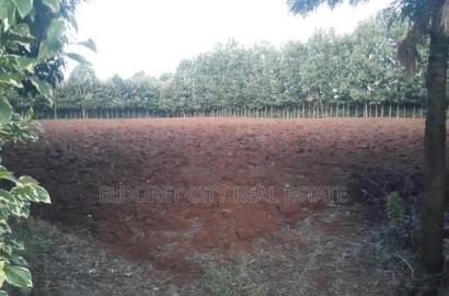 One Acre Elgonview Good for Residential