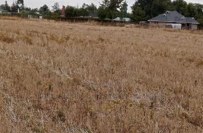 1/4 Plots Chepkanga for Residential