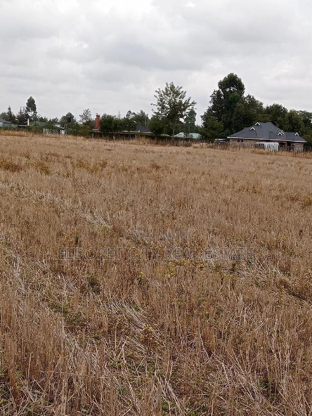 1/4 Plots Chepkanga for Residential