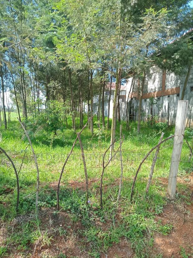 1/2 Acre Annex Ideal for Rental.