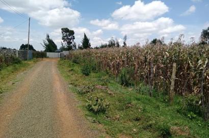 1/4 or 1/2 Acre Kapseret Kericho Ndogo