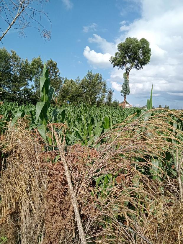 1/16 Plot Site and Service Kapsoya With Title
