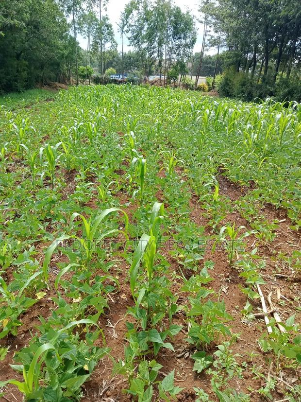 1/8 Plot Kipkorgot Ideal for Residential Touching Tarmac