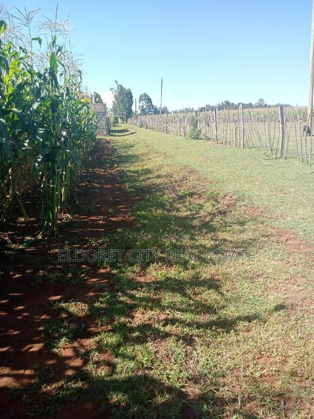 1/2 Acre Kaplelach After Kilombe.