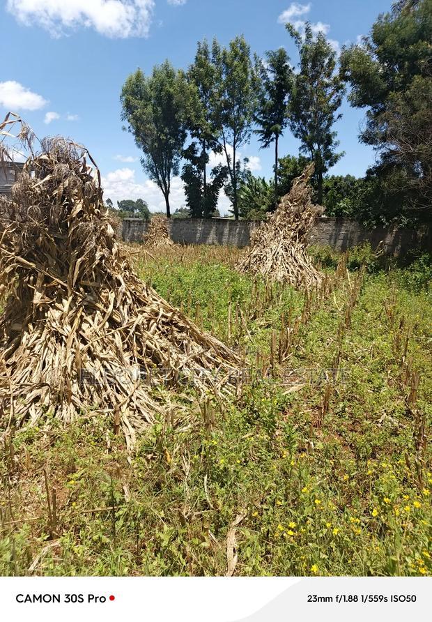 1/4 Plot Plus 1/8 Kiplombe Eldoret With Title.