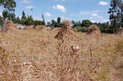 1/2 Acre Kiplombe With Title