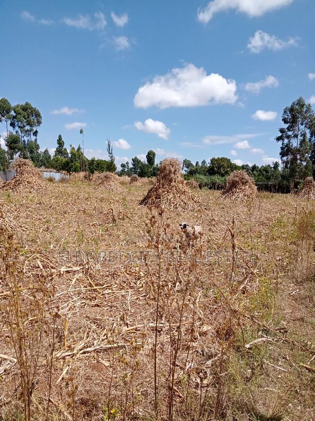 1/2 Acre Kiplombe With Title