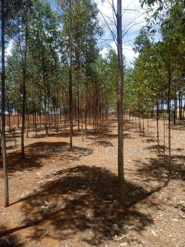 3.1acres Soy Simbi With Title 3km From Tarmac