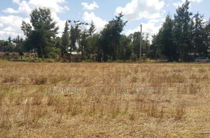 1/4 Plots Ilula 750 Metres From Tarmac