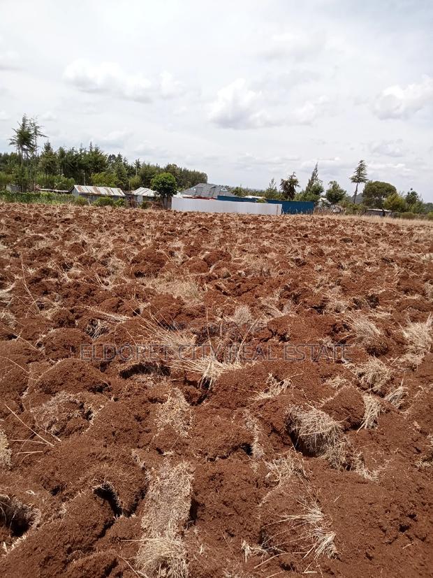 1/2 Acre Kamariny Iten With Title