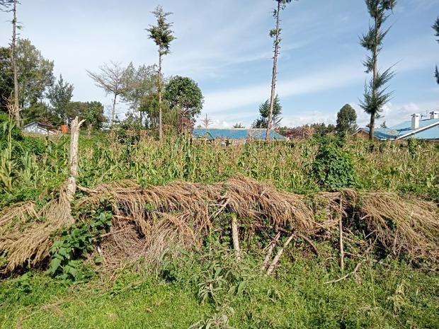 1/8 Plot Kapsoya Ideal for Rental