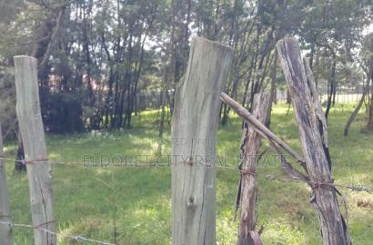 One Acre Elgonview With Title