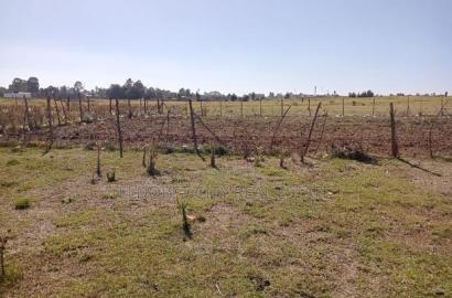1/4 Plot Hawaii Kimumu Ideal for Rental