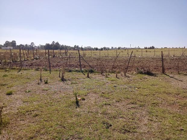 1/4 Plot Hawaii Kimumu Ideal for Rental