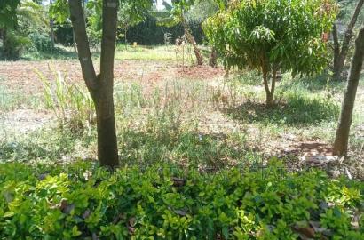 1/4 Plot Kolol Estate Longonot Area