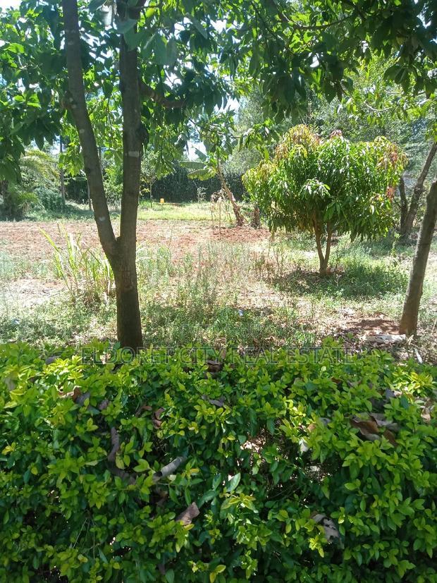 1/4 Plot Kolol Estate Longonot Area